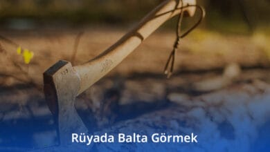 Rüyada Balta Görmek Rüyada Balta Görmek