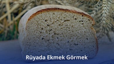 Rüyada Ekmek Görmek Rüyada Ekmek Görmek